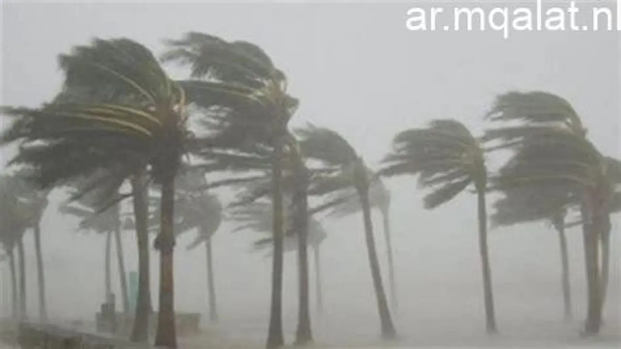 نشاط رياح بسرعة 35 كم وتوقعات الأرصاد حول أبرز الظواهر الجوية القادمة